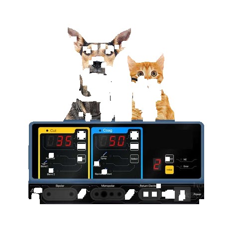 Veterinary Medical ENT Diagnostic Set Animal Hospital Otoscope Veterinary Ophthalmoscope Set