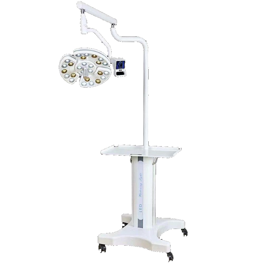 LED Portable Dental Surgical