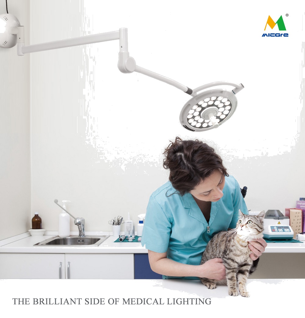 Medical Light LED Veterinary Examination Lamp with Battery Optional