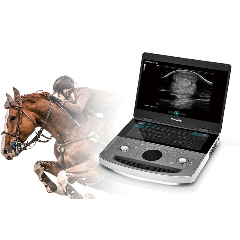 Veterinary Ultrasound Scanner Equine Ultrasound Equipment Laptop Color Doppler Ultrasound for Vet...