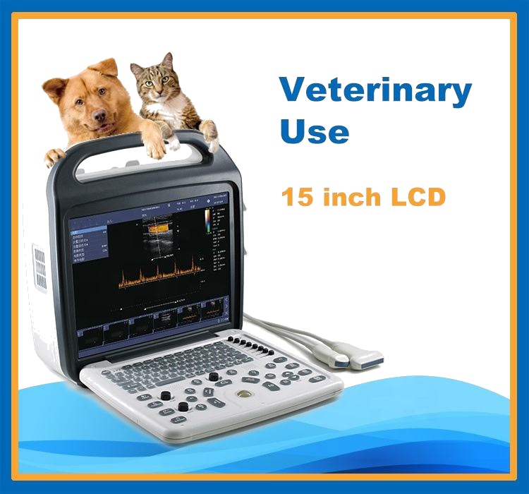 Equipment 15 Inches LCD Display Full Digital Laptop Vet Ultrasound Animal Scanner Machine