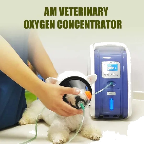 Veterinary Use 3L Oxygen Generator for Physical Therapy Oxygen Concentrator