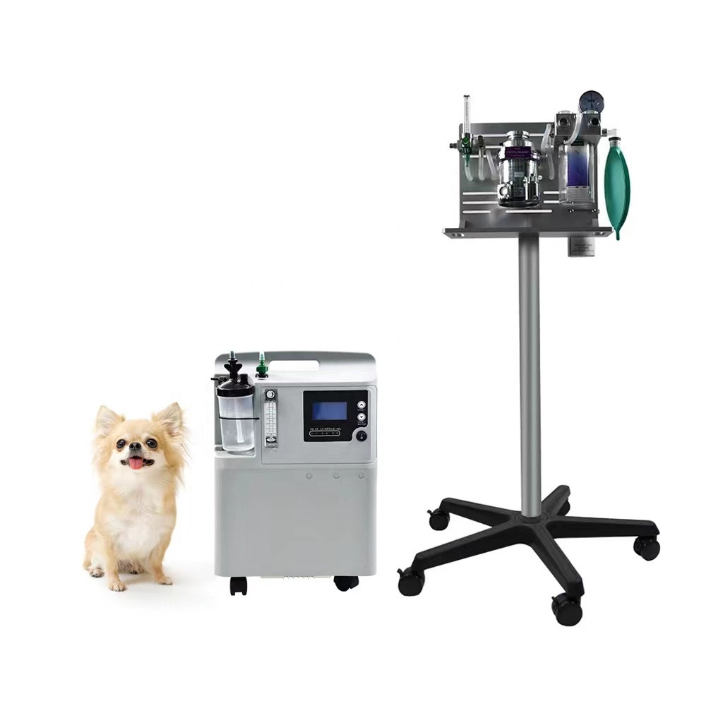 Physical Therapy Medical Equipment Veterinary Use 3L Oxygen Generator
