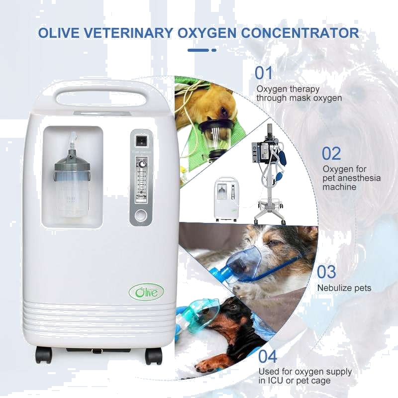 10liter Oxygen Generator Lower Energy Consumption Dog Oxygen Concentrator