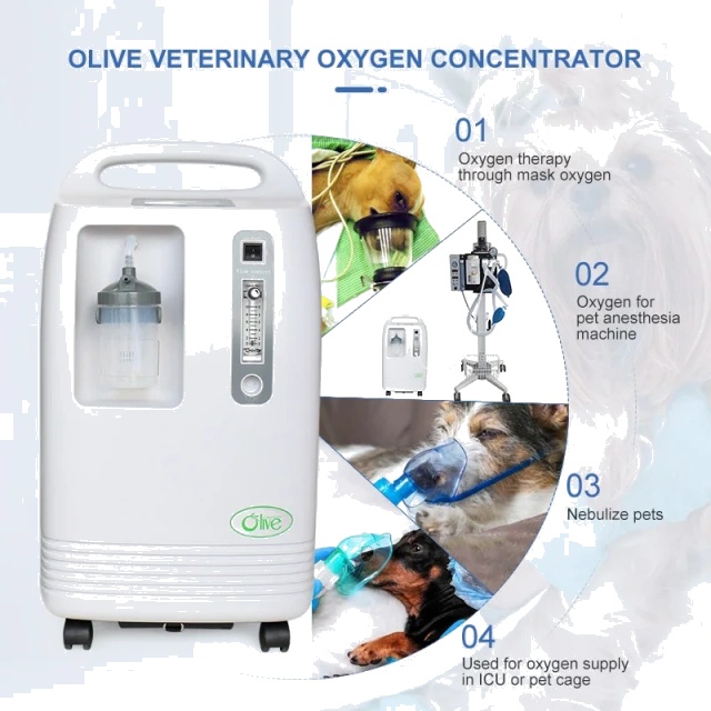 Equipment Vet Hospital Use 1-10L Oxygen Generator Oxygen Concentrator for Animal