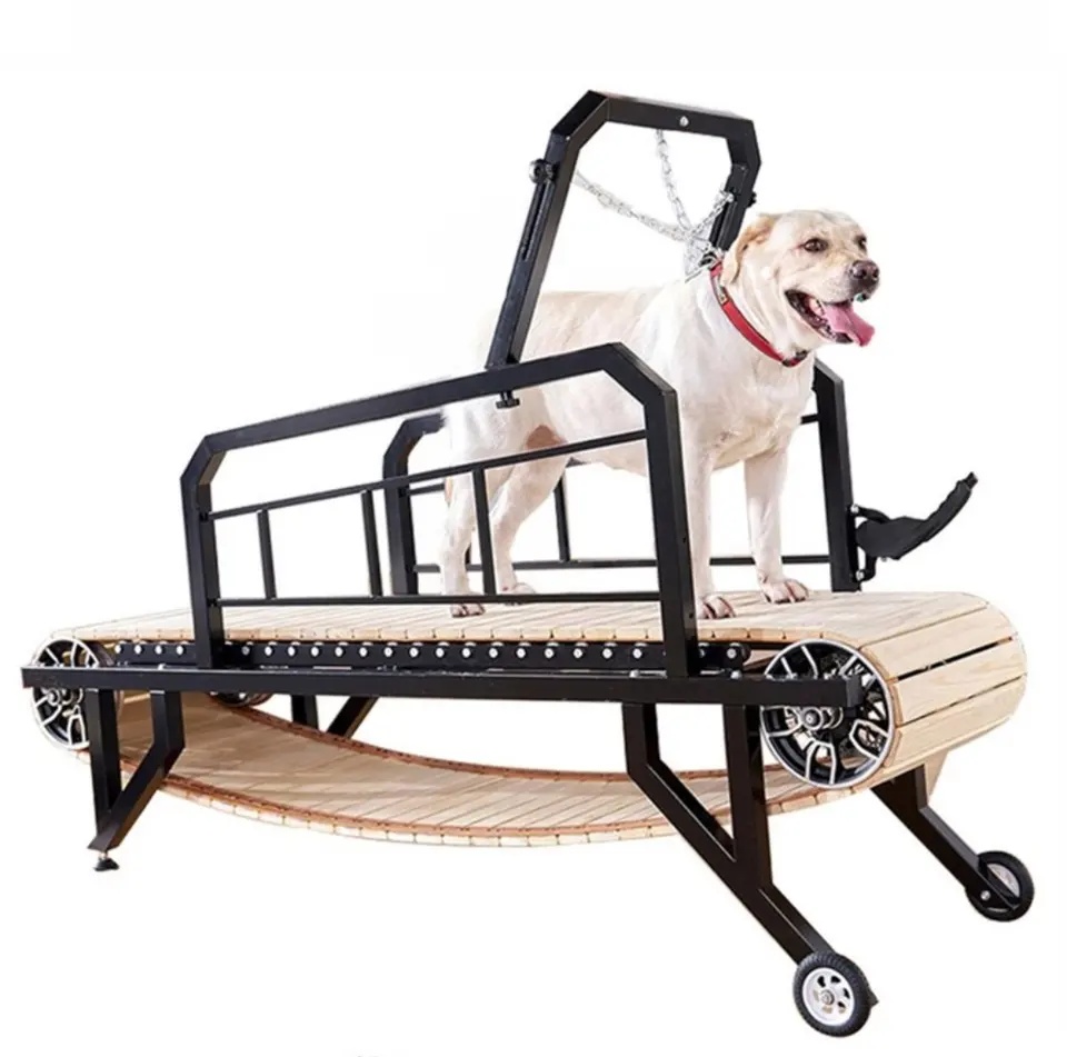 Customization Various Models Pet Dog Treadmill Walking Machine Training Exercise Pet Treadmill fo...