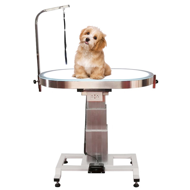 Electric Lifting Round Pet Grooming Table With LED Light Fixed Noose Arm for Dog Cat Beauty Salon