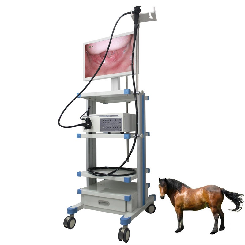 Veterinary Video Gastroscope Endoscope System Equine Horse Animal Endoscopy Device With Tablet PC