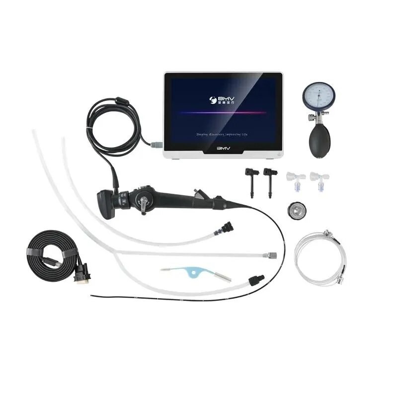 Supply HD Flexible Veterinary Endoscope Pet ENT Bronchoscope Video Endoscopy System for Animal Ho...