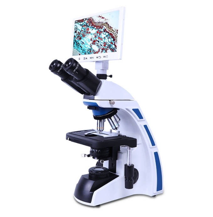 Three-Eye Biological Microscope 55-75mm Pupil Distance Double Layer Mechanical Stage Coaxial Focu...