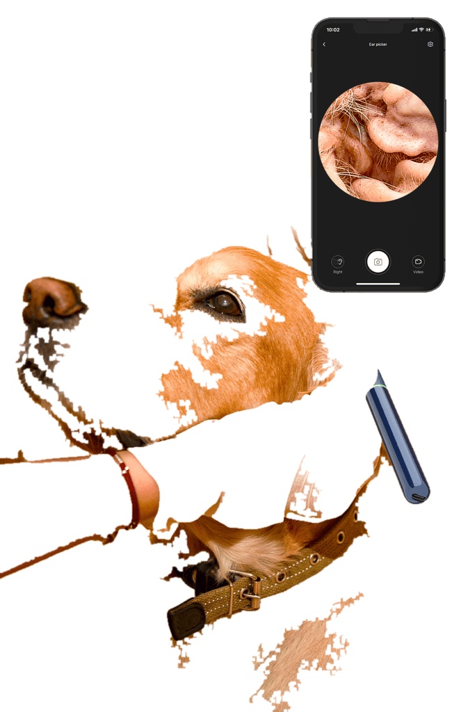 Vet Pet Digital Otoscope Dog Checking Pet Equipment with Color Temperature