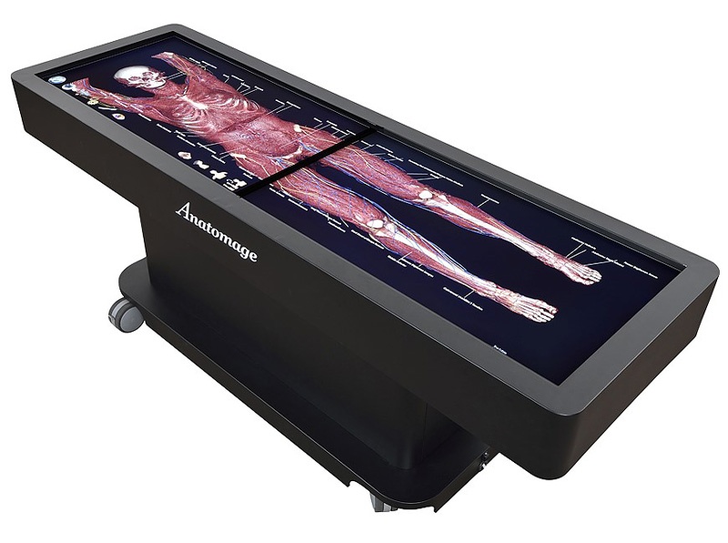 3D Body Virtual Autopsy Table Anatomage Digital Human Body Anatomy System for University